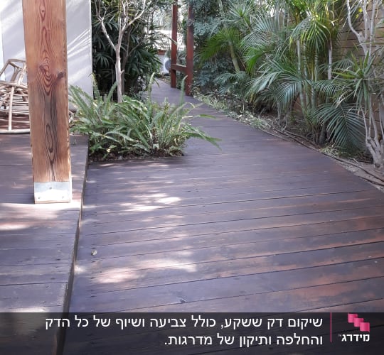 שביל עץ בגינה עם צמחייה ירוקה מסביב
